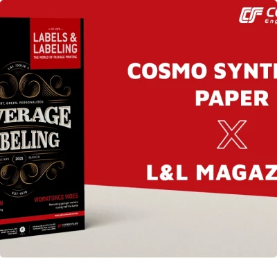 CosmoSynthetic Paper